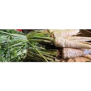 Holland Marsh Parsley Root – Bradford, ON