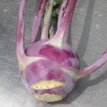 Holland Marsh Kohlrabi