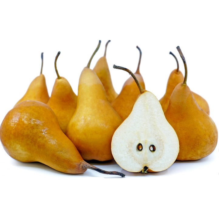 Ontario Pears - August to December