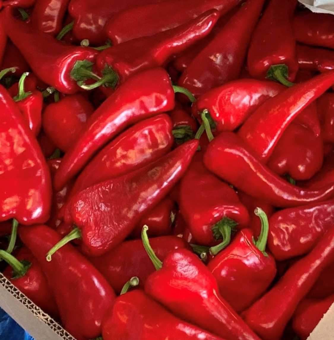 Scotch bonnet chilli Peppers(Hot pepper) 150g