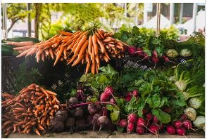 Holland Marsh Food Gift Card – Bradford, ON