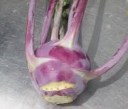 Holland Marsh Kohlrabi