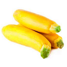 Holland Marsh Zucchini