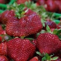 Ontario Strawberries – Holland Marsh Food Market