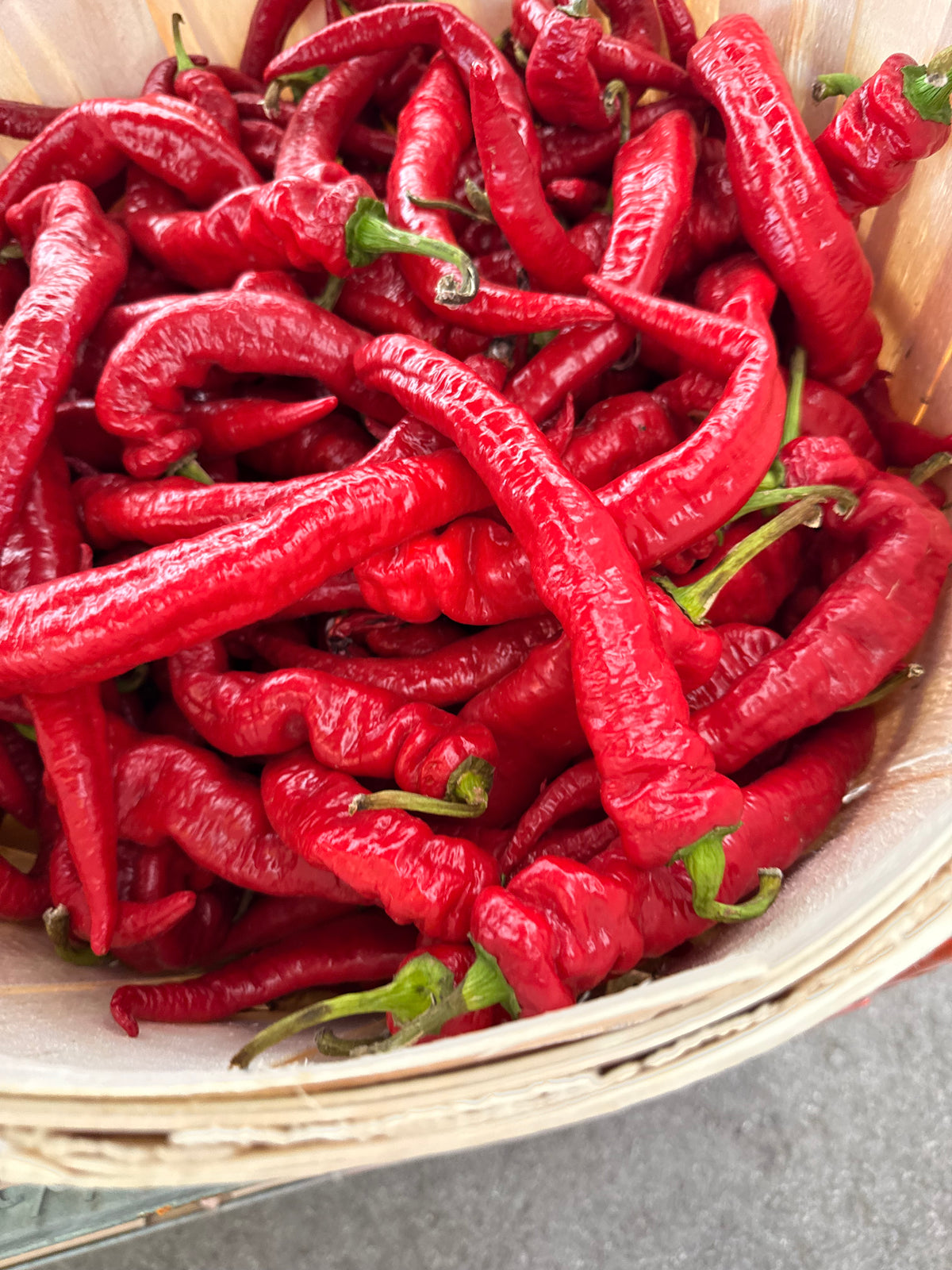 Holland Marsh Hot Peppers - July to October