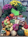 'Pick 9 for $29' Harvest Produce Box