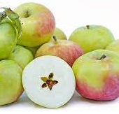 Ontario Apples - August to June