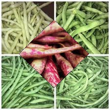 Ontario Fresh Beans - June to October