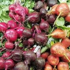 Holland Marsh Beets - July to April