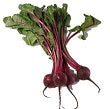 Holland Marsh Beets - July to April