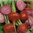 Holland Marsh Beets - July to April