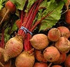 Holland Marsh Beets - July to April