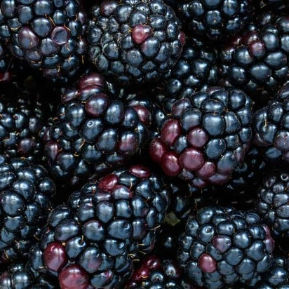 Ontario Berries - July to October