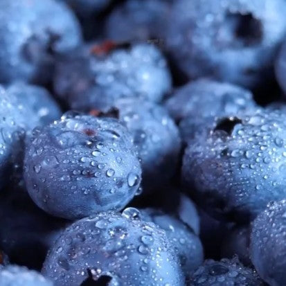 Ontario Berries - July to October