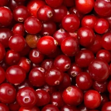 Ontario Berries - July to October