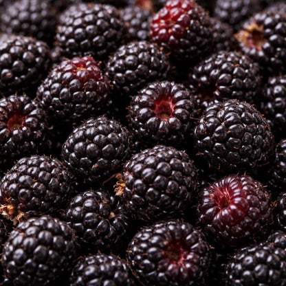 Ontario Berries - July to October