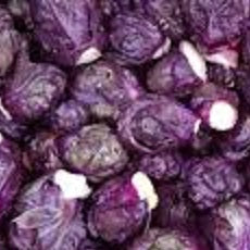 Holland Marsh Brussels Sprouts - September to November