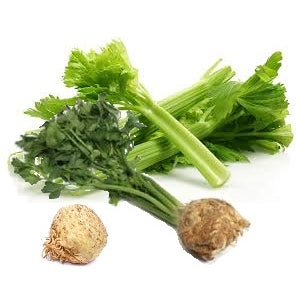 Holland Marsh Celery - July to October