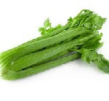 Holland Marsh Celery - July to October