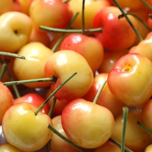 Ontario Cherries - June to July