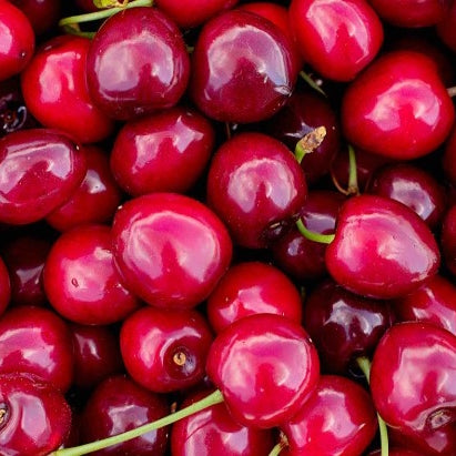 Ontario Cherries - June to July
