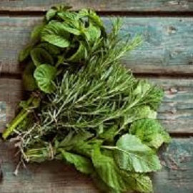 Holland Marsh Herbs