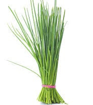 Holland Marsh Herbs