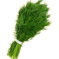 Holland Marsh Herbs
