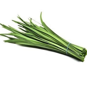 Holland Marsh Herbs