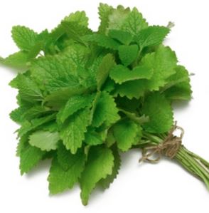 Holland Marsh Herbs
