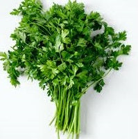 Holland Marsh Herbs