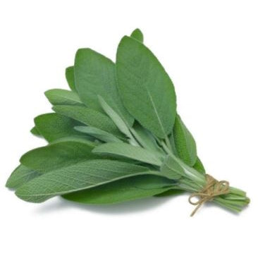 Holland Marsh Herbs
