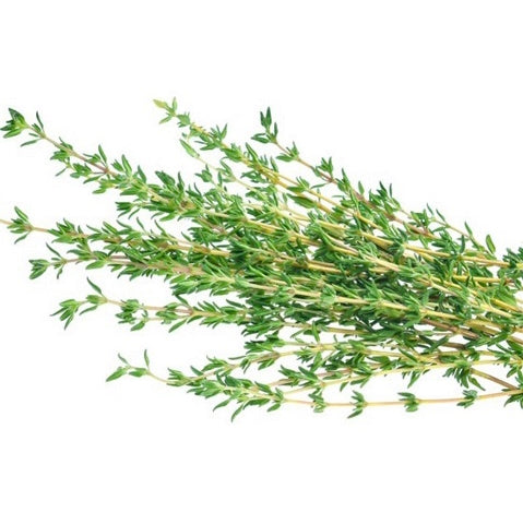 Holland Marsh Herbs