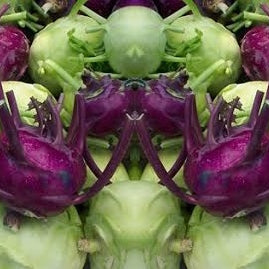 Holland Marsh Kohlrabi