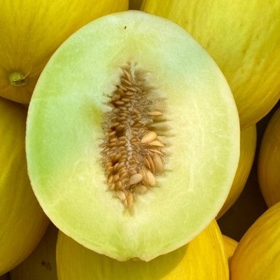 Ontario Melon - July to September