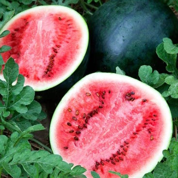 Ontario Melon - July to September