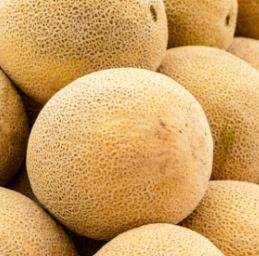 Ontario Melon