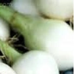 Holland Marsh Onions - All Year