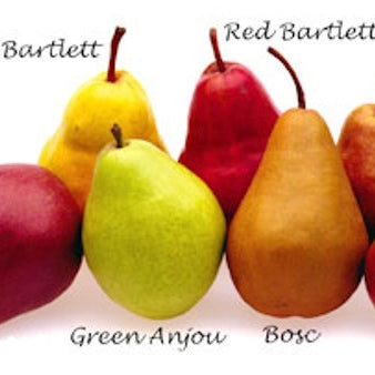 Ontario Pears - August to December