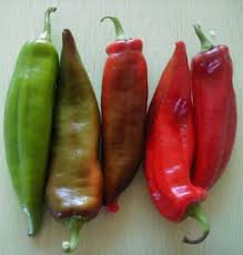 Holland Marsh Hot Peppers - July to October