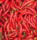 Holland Marsh Hot Peppers - July to October