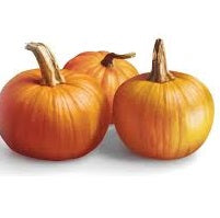 Holland Marsh Pumpkins - September to October