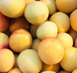 Plums - July to October