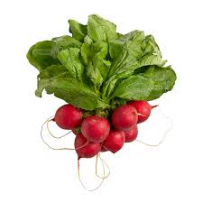 Holland Marsh Radish - May to November