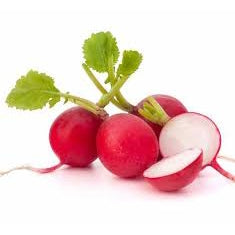 Holland Marsh Radish - May to November