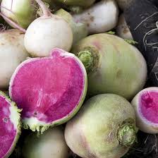 Holland Marsh Radish - May to November