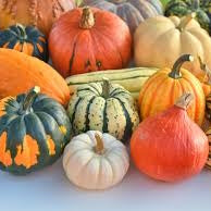 Ontario Squash - August to March