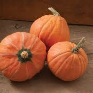 Ontario Squash - August to March
