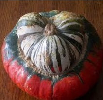 Ontario Squash - August to March