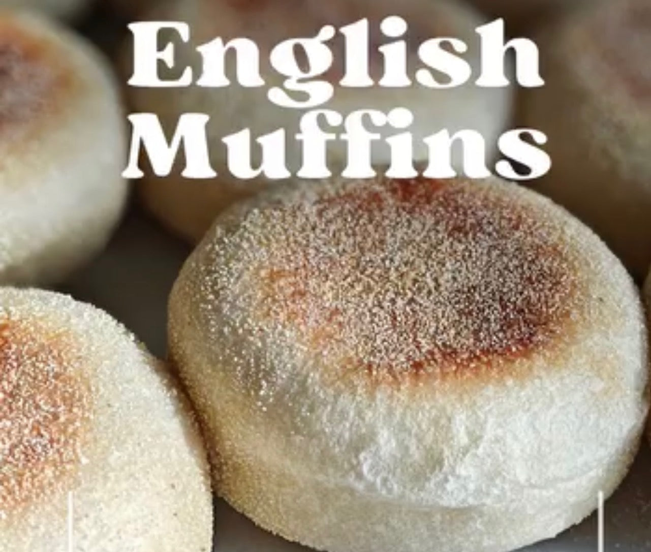 Sourdough English Muffins – Holland Marsh Food Market